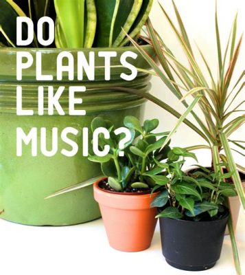 Can Music Help Plants Grow? And Other Points of View on Plant Growth.